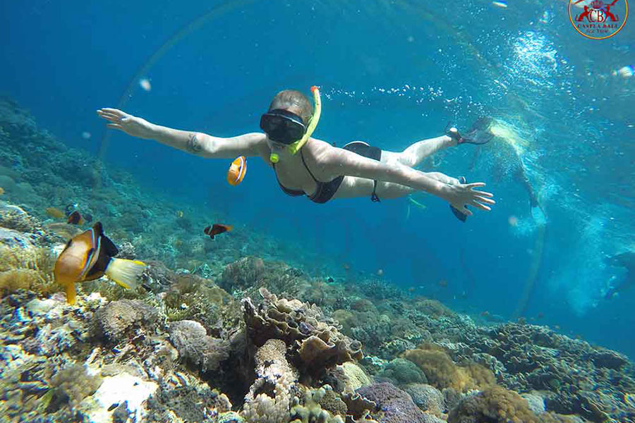 snorkling crystal bay beach, klungkung places of interest