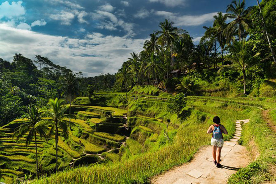 tegalalang rice terrace, gianyar places of interest