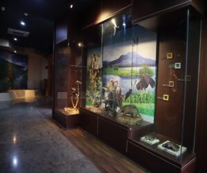 batur geopark museum