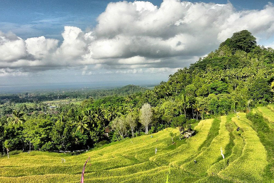 bukit jambul rice terrace, karangasem places of interest