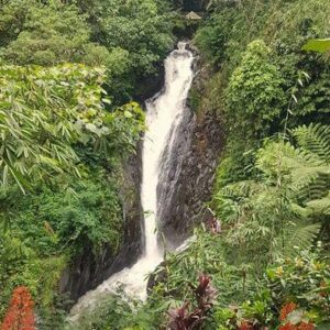 mekalangan waterfall, buleleng places of interest